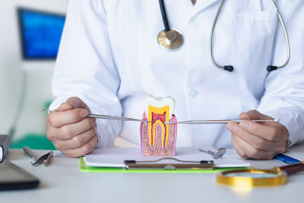 Best Emergency Dental Care for Trauma or Injury in Benton Harbor, MI